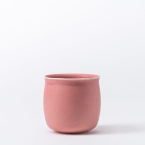 Set of 2 Medium Young Rose Drinking Cups - Smooth Handleless Shape